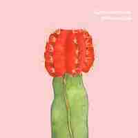 Vettore gratuito cactus della luna di mihanovichii di gymnocalycium disegnato a mano