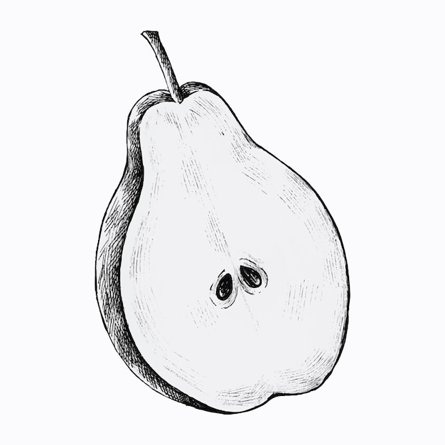 Free vector hand drawn half cut of pear vector