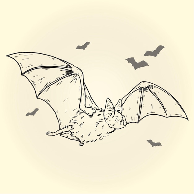 Pipistrello di halloween disegnato a mano