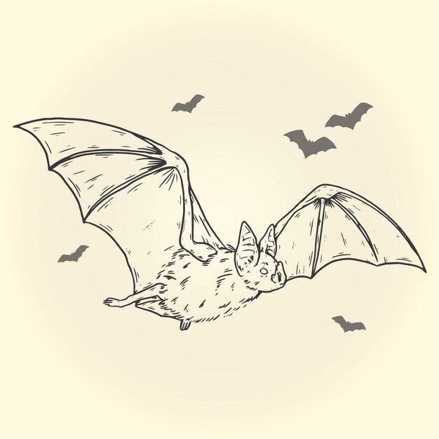 Hand drawn halloween bat