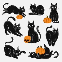 Hand drawn halloween black cats collection