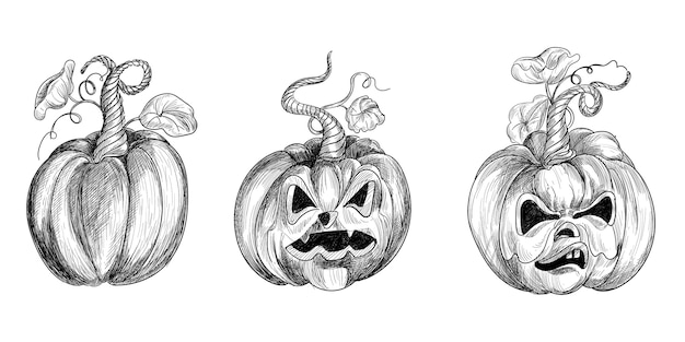 Hand drawn halloween pumpkins funny sketch set design