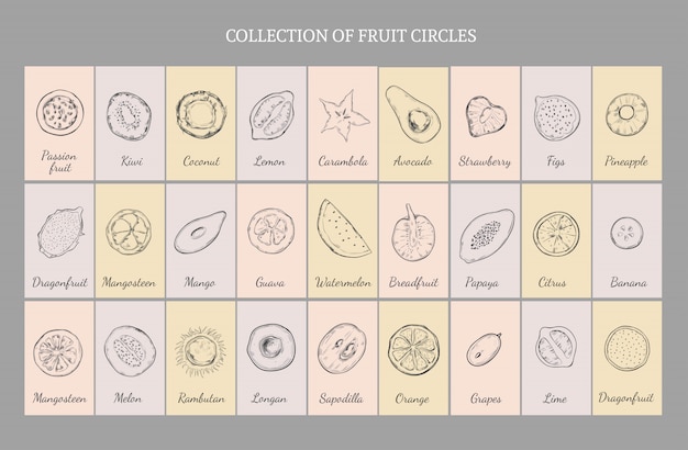 Hand drawn healthy fruits table concept