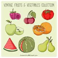 Free vector hand drawn healthy fruits