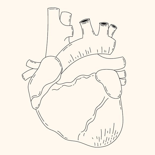 Free vector hand drawn heart drawing illustration
