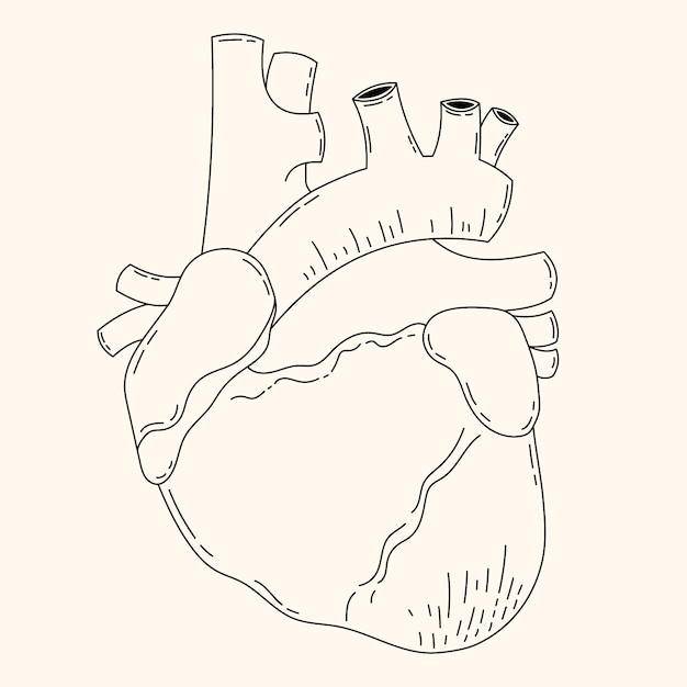 無料ベクター 手で描かれたハートの絵