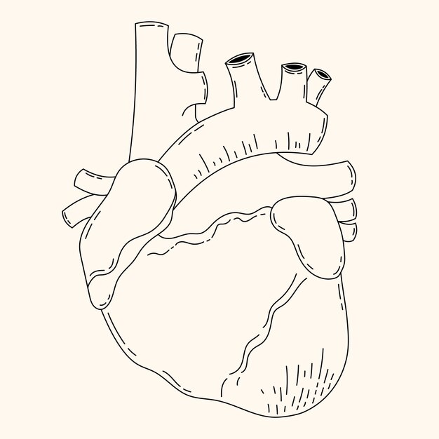 Hand drawn heart drawing illustration