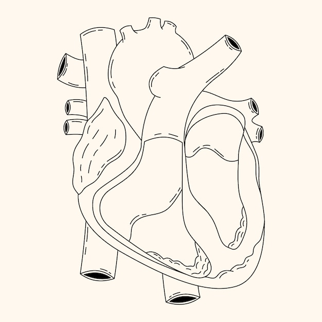 Free vector hand drawn heart drawing illustration