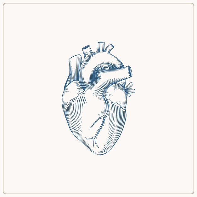 Hand drawn heart drawing illustration