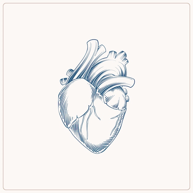 Бесплатное векторное изображение Иллюстрация рисунка сердца, нарисованная вручную