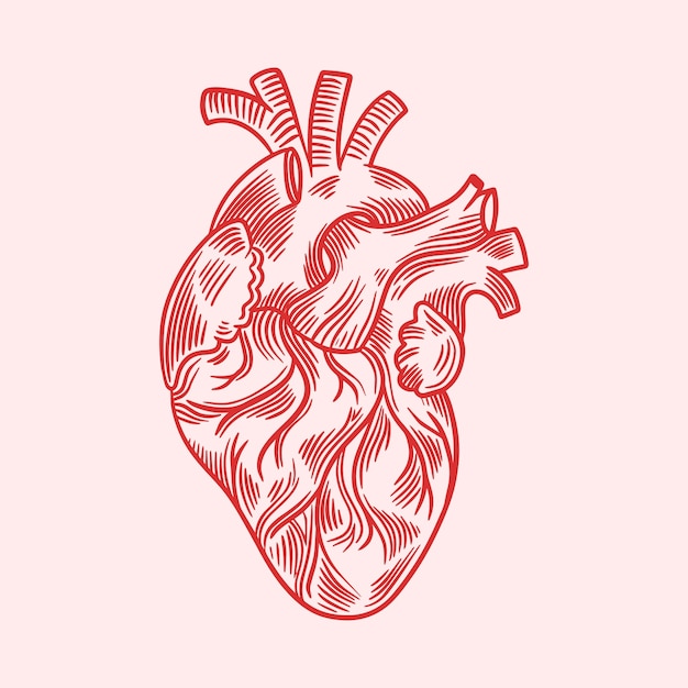 Hand drawn heart drawing illustration