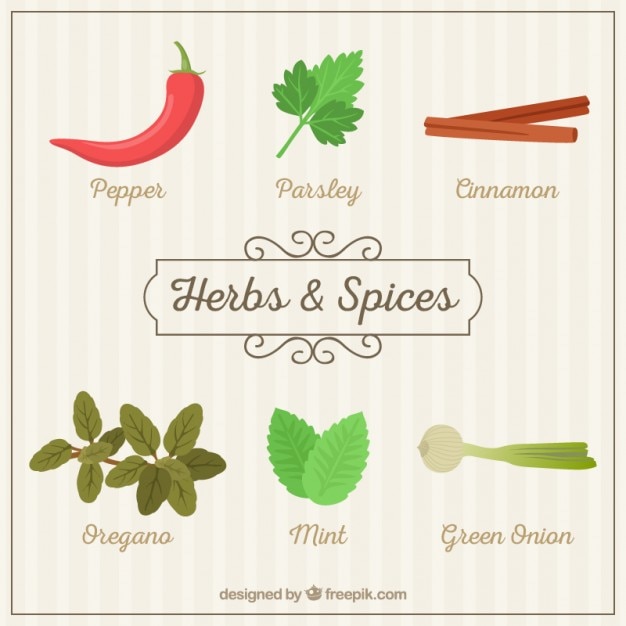 Download Free Hand Drawn Herbs And Spices Svg Dxf Eps Png Free Svg Cut Files Creativefabrica PSD Mockup Templates