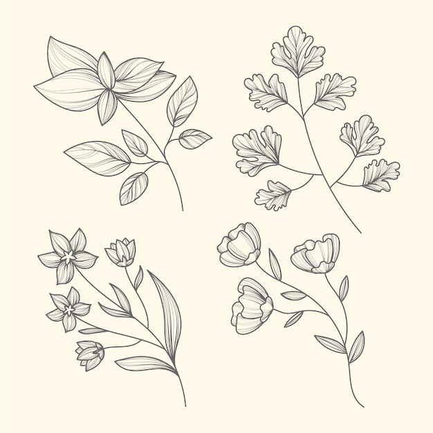 Hand drawn herbs and flowers