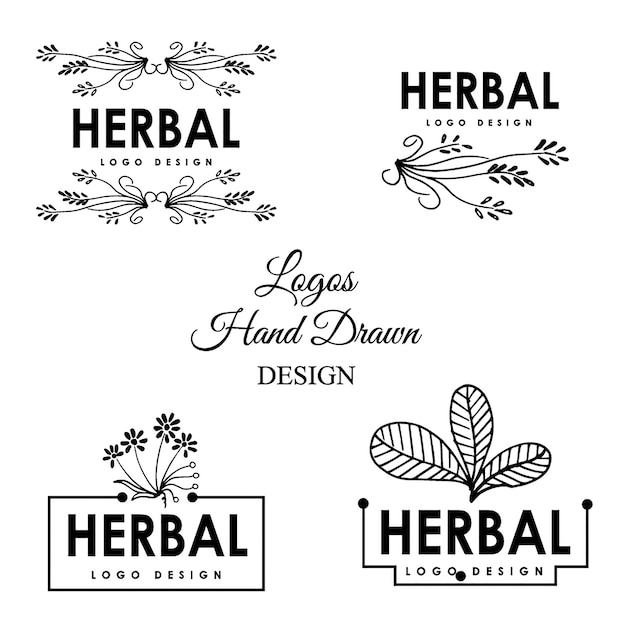 Free vector hand drawn herbs logo design