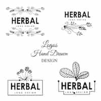 Free vector hand drawn herbs logo design