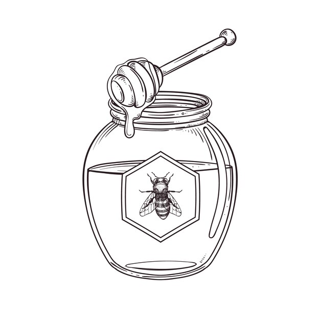 Hand drawn honey jar drawing illustration