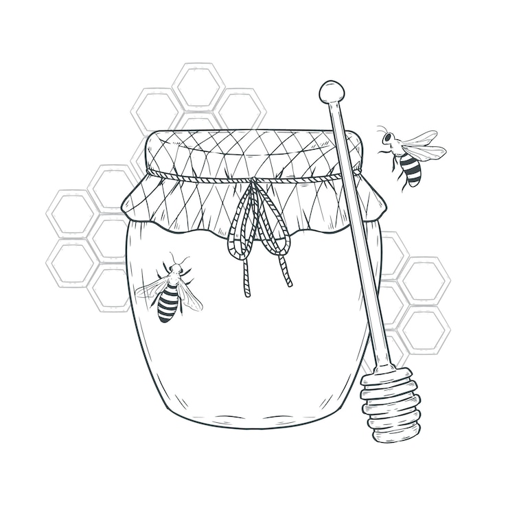 Free Vector hand drawn honey jar drawing illustration