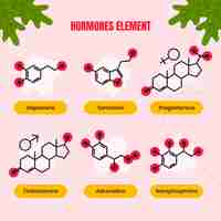 Free vector hand drawn  hormones element set