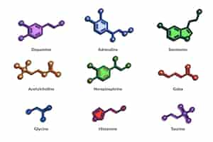 Бесплатное векторное изображение Коллекция гормональных элементов, нарисованная вручную