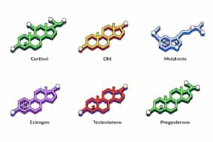 Free vector hand drawn hormones elements collection