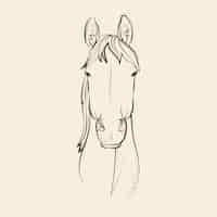 Free vector hand drawn horse head drawing illustration