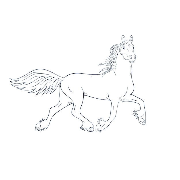 Hand drawn horse outline illustration