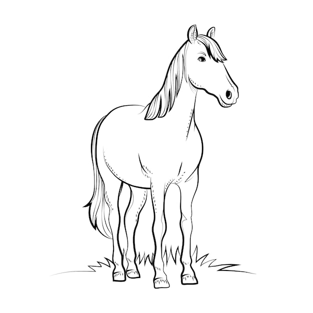 Hand drawn horse outline illustration – Vector Templates – Free Download