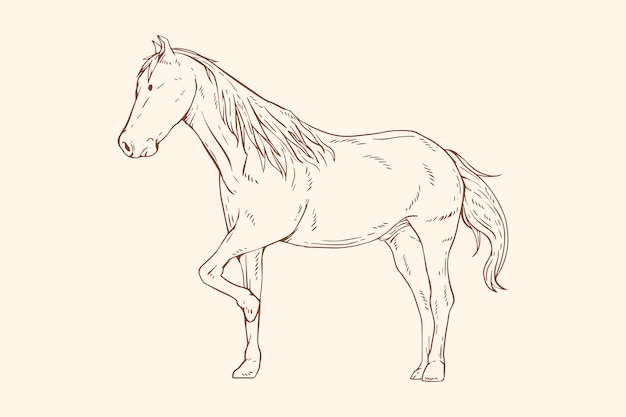 Free vector hand drawn horse outline illustration