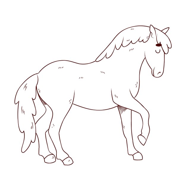 Hand drawn horse outline illustration