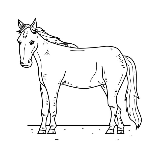 hand drawn horse outline illustration