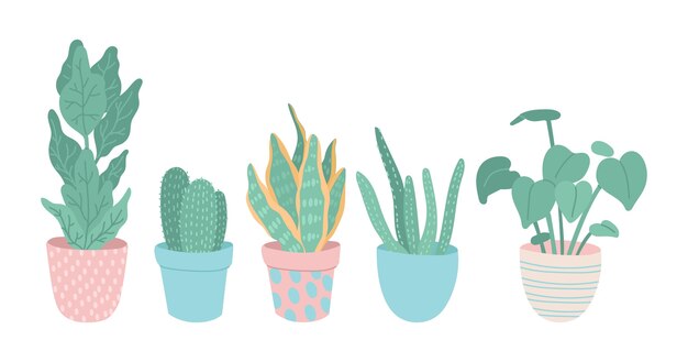 Hand drawn houseplant collection illustrated