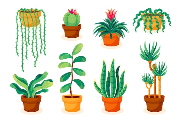 Free vector hand drawn houseplant collection illustrated