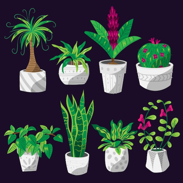 手描きの観葉植物コレクション