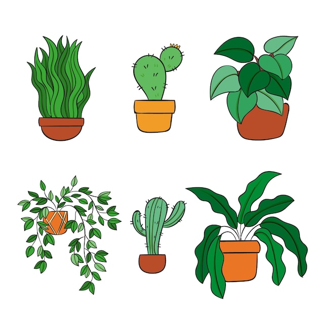 무료 벡터 손으로 그린 houseplant 컬렉션