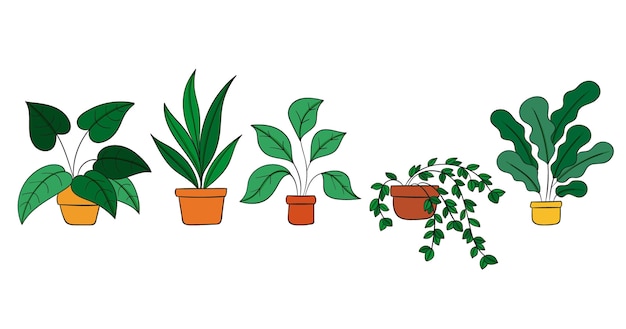 無料ベクター 手描き観葉植物コレクション