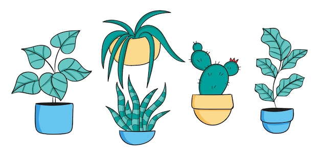 Hand drawn houseplant collection