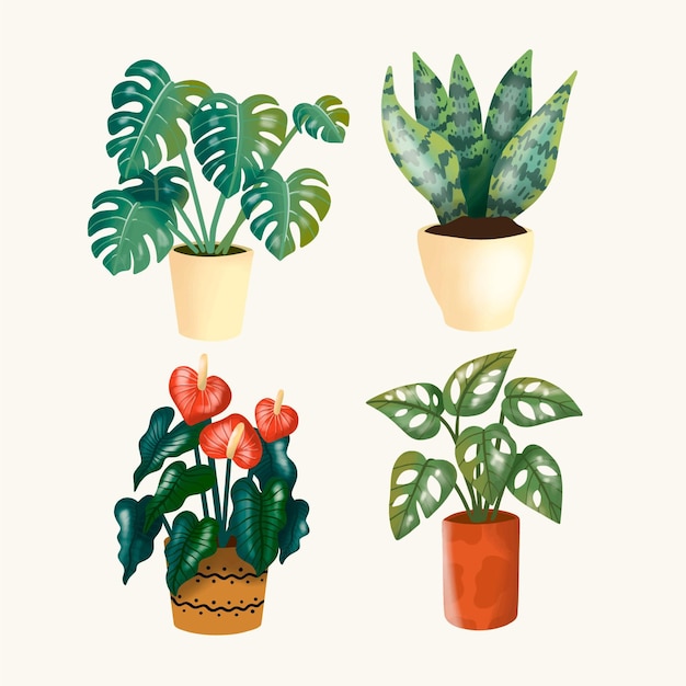 Hand drawn houseplant collection