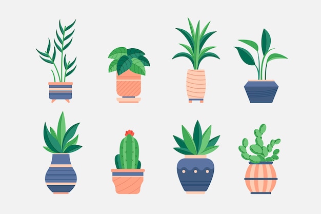 Hand drawn houseplant collection