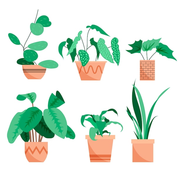 무료 벡터 손으로 그린 houseplant 컬렉션