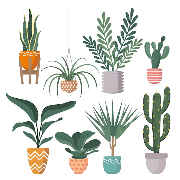 Free vector hand drawn houseplant collection