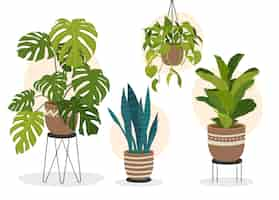 Free vector hand drawn houseplant collection