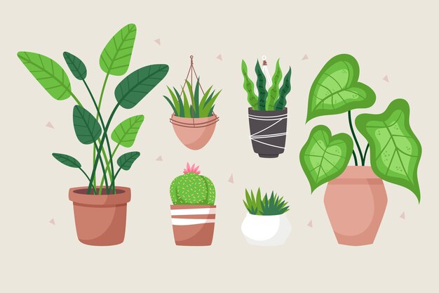 Hand drawn houseplant collection