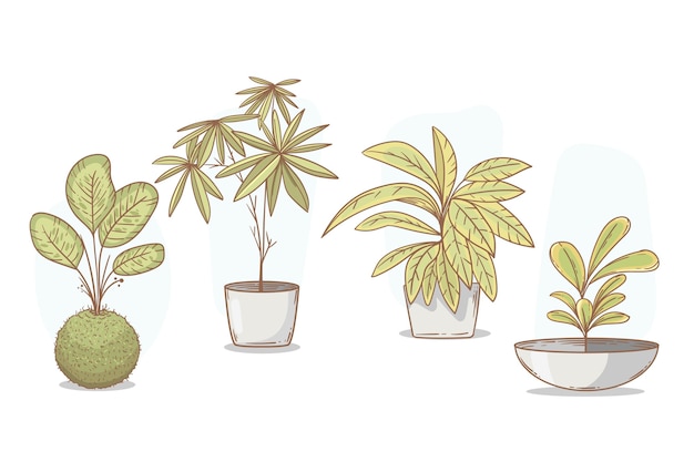Vettore gratuito collezione di piante d'appartamento disegnate a mano