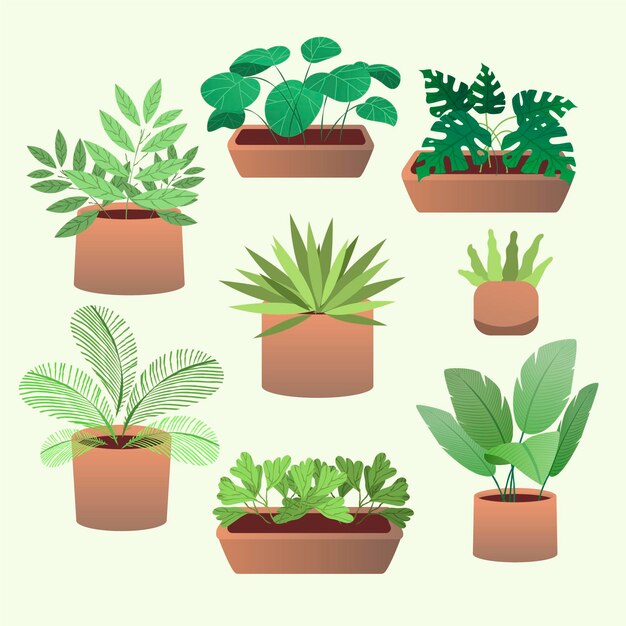 Free vector hand drawn houseplant collection