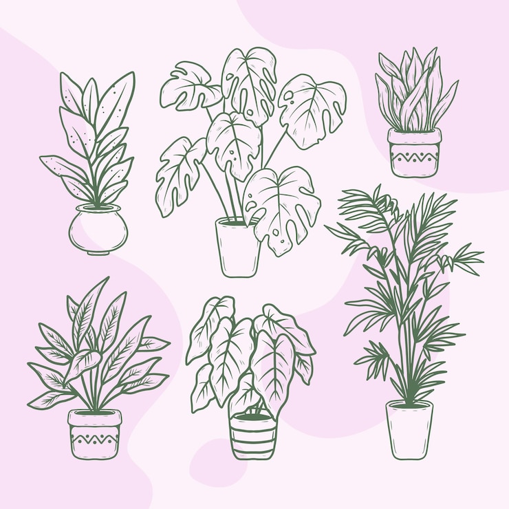 Free Vector hand drawn houseplant collection