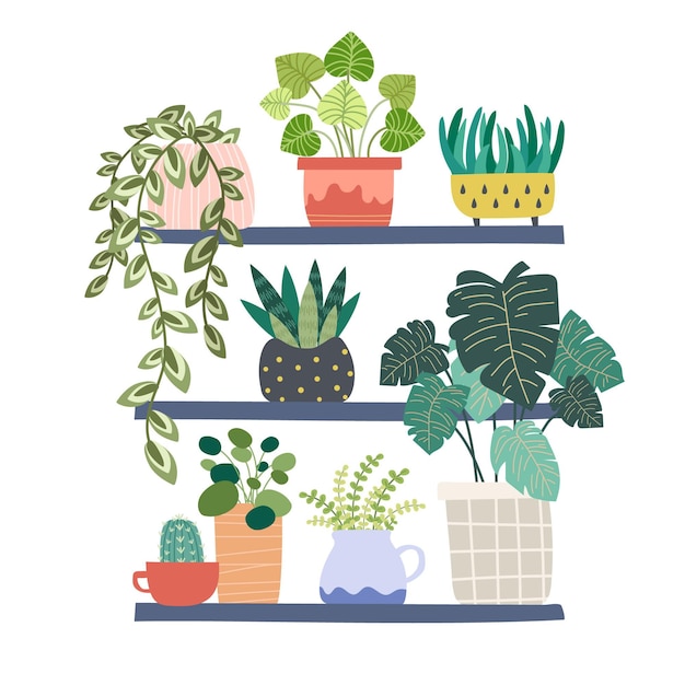 Free vector hand drawn houseplant collection