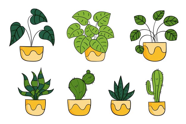 Hand drawn houseplant collection