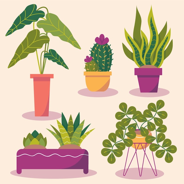 Hand drawn houseplant collection