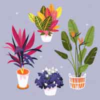 Free vector hand drawn houseplant collection