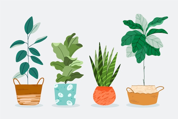 Бесплатное векторное изображение Коллекция рисованной комнатных растений